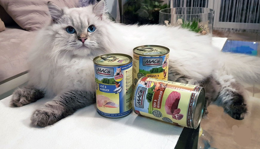 MACS Cat Wet Food – Tests AND Reviews